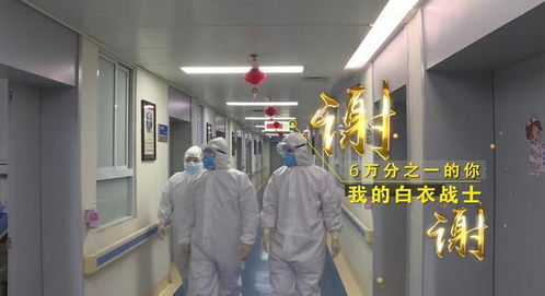 “守護(hù)天使”公益律師武漢上崗，為醫(yī)護(hù)筑起法律后盾
